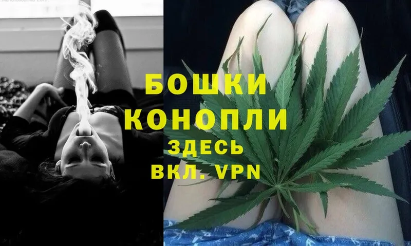 Бошки марихуана Ganja  Кашира 